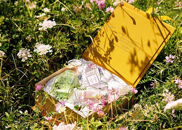 Yellow gift box with Herbae fragrance and soap in field of grass